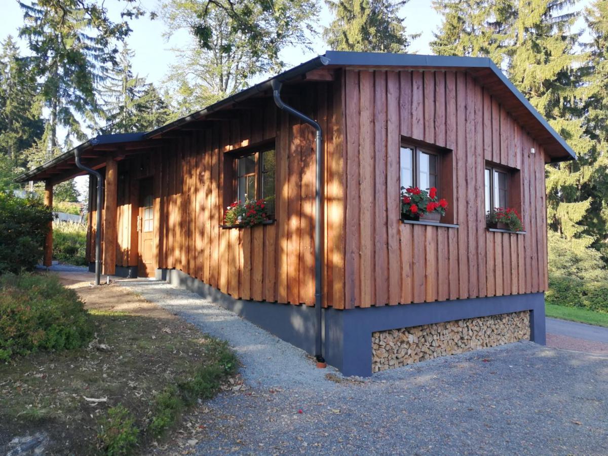 Апартаменты Haus Waldfrieden Альтенберг Экстерьер фото