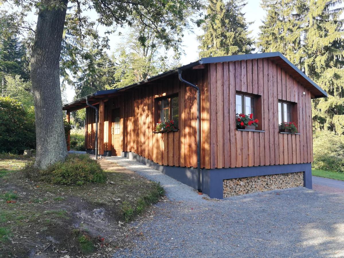 Апартаменты Haus Waldfrieden Альтенберг Экстерьер фото