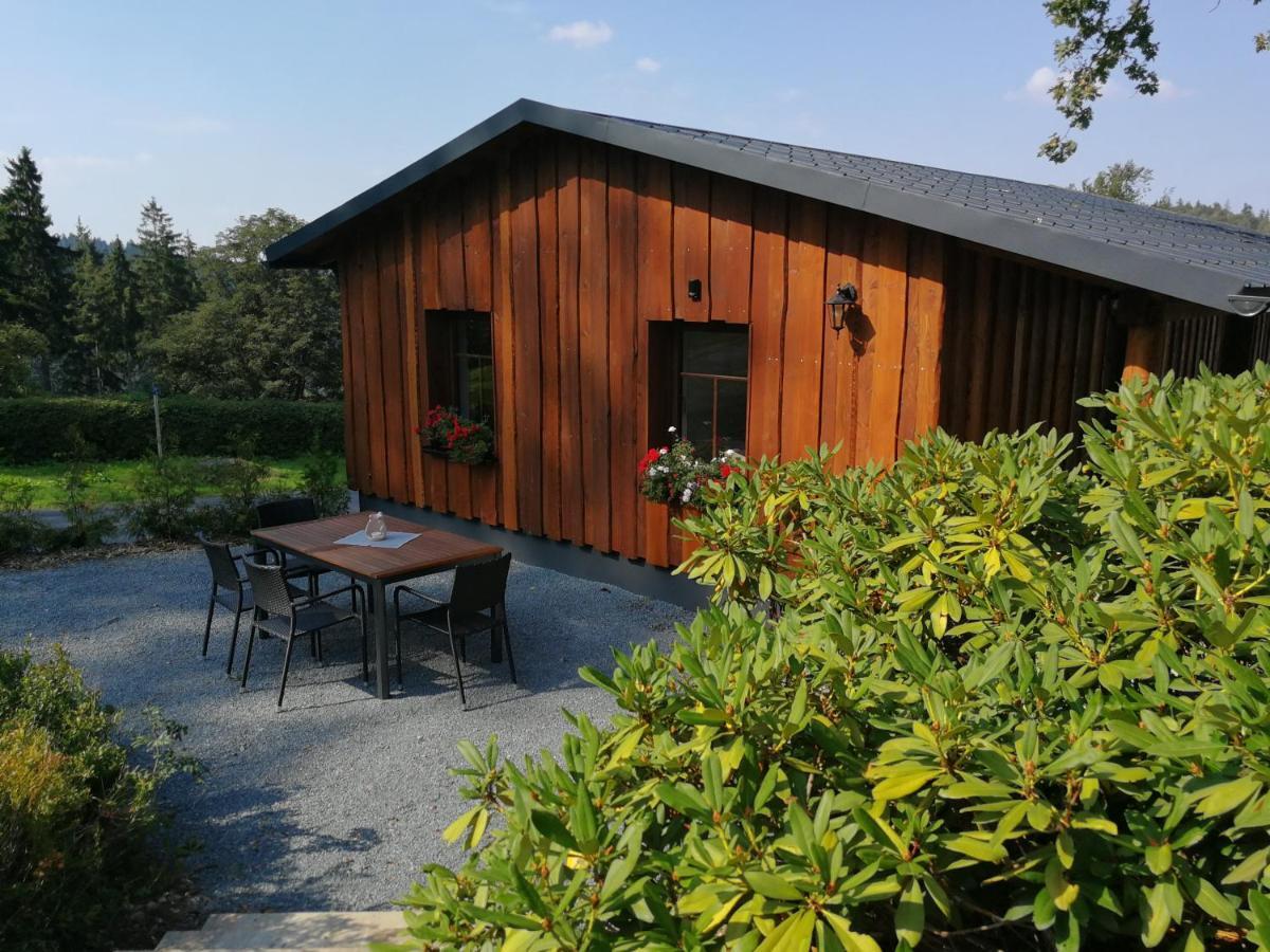 Апартаменты Haus Waldfrieden Альтенберг Экстерьер фото